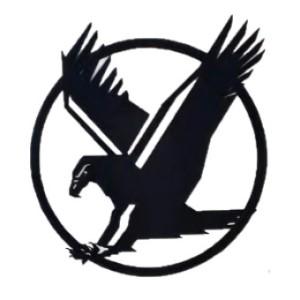 Z-pc logo